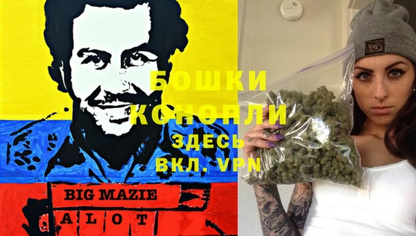 трава Балахна