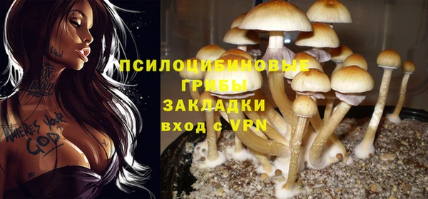 каннабис Баксан