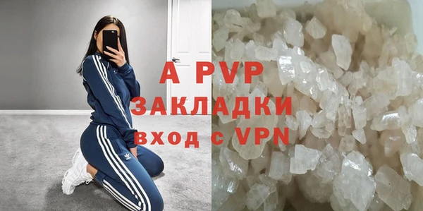 PSILOCYBIN Арсеньев